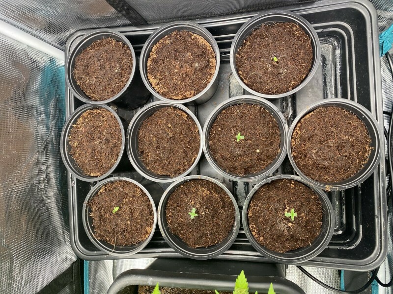 88695B2F-296D-4F9A-8039-4326A601B9DE