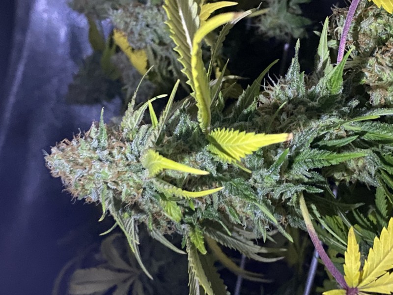 1B1B0A51-6A55-4CE9-BB7A-4FF0F0597362