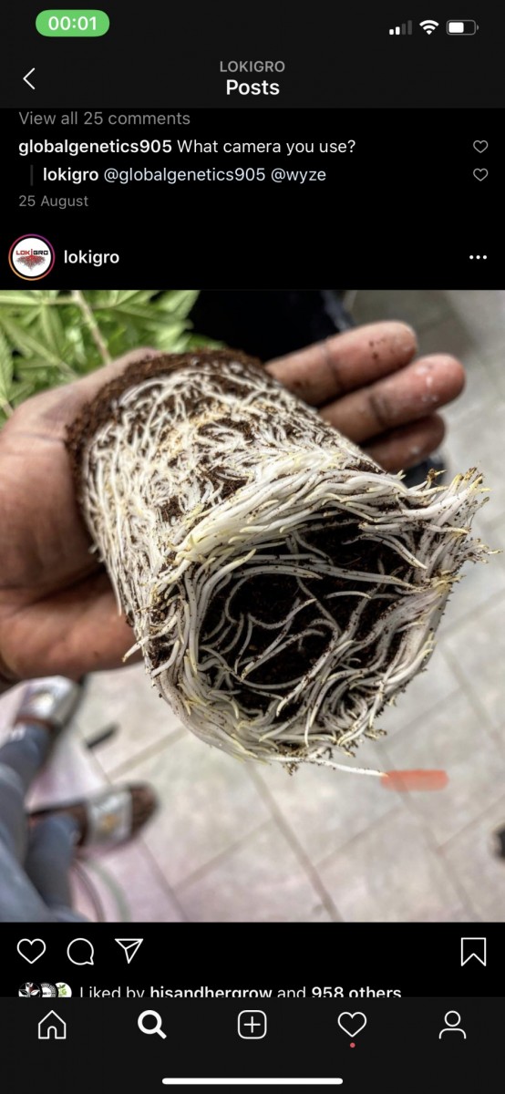 6288B4D6-9F46-4522-A269-9DB7D2E2CD6B