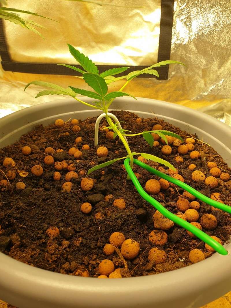 14492-20200710182410