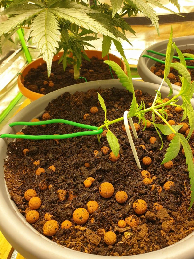 14476-20200710122744