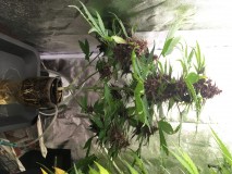 629A72E1-A46D-4834-A840-279EEF60BFCA