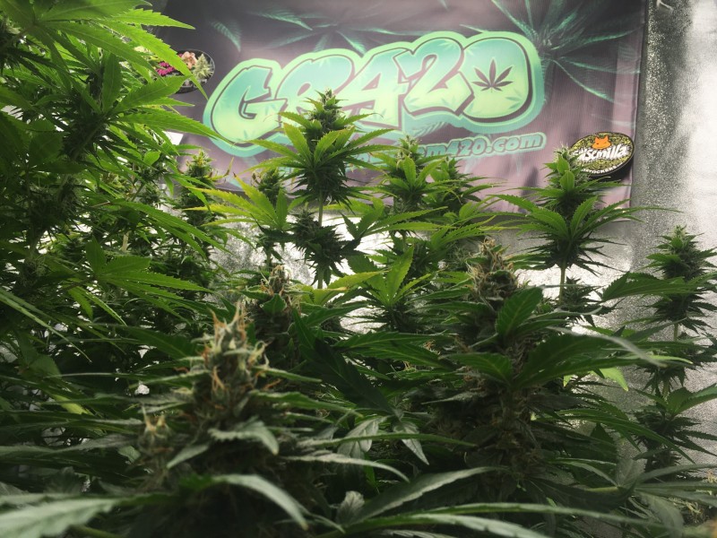 EEB391B6-ED78-4CC2-8109-3458976A1FCB