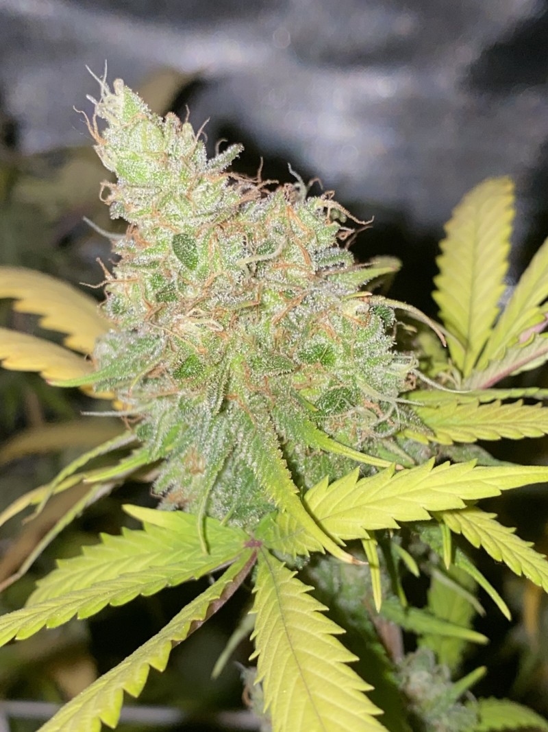 DFC80AD9-E198-408D-A5E8-352B0F35BD9B