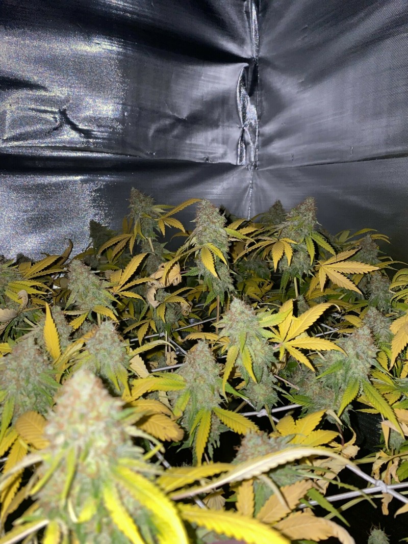 7CC01D44-3710-492A-8468-5993D147B267