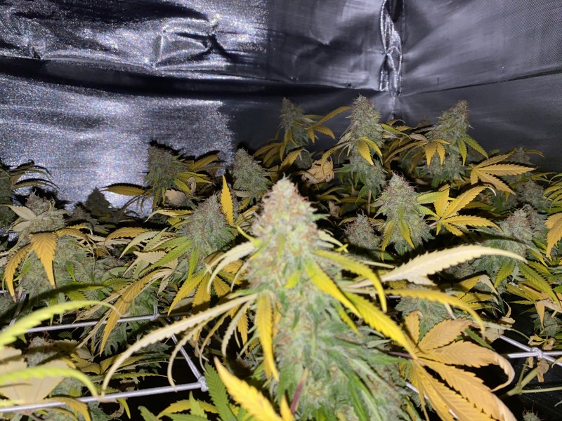 FD8982A7-DE3F-47B3-8DBD-C94349008F4C