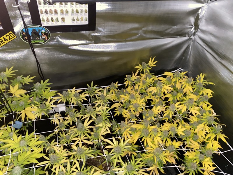 A78F9BF9-4915-4CB0-AA14-9328D1EF05AD