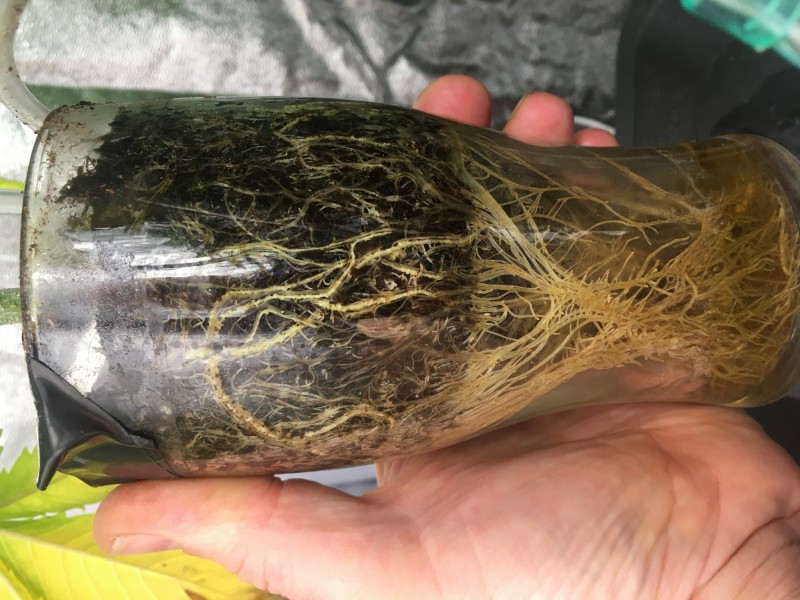 B798C789-1D89-4054-95B6-5D5B5594AFD6