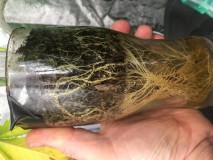 B798C789-1D89-4054-95B6-5D5B5594AFD6