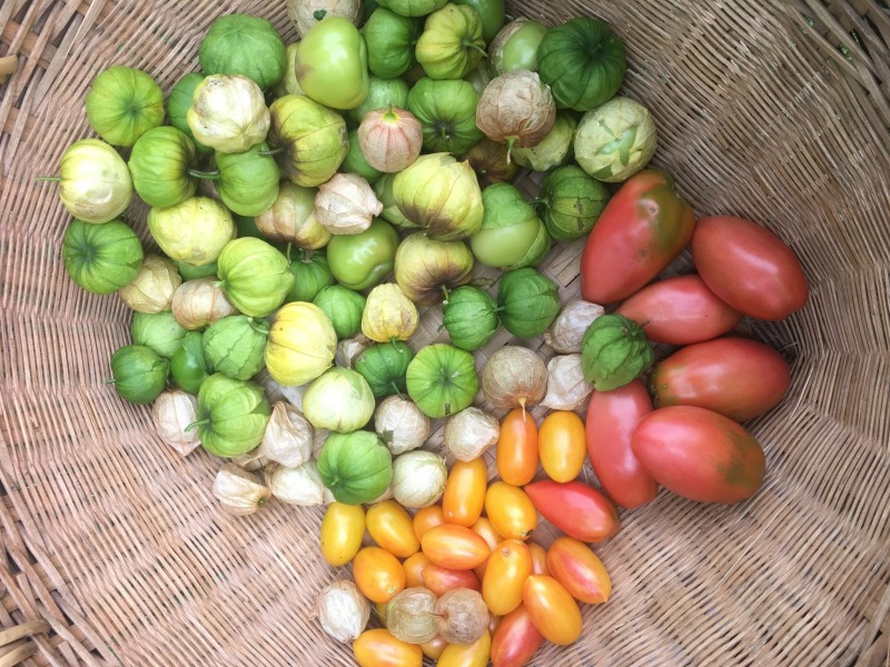 C7E54054-AE78-4E28-B23A-4815E155CCB4