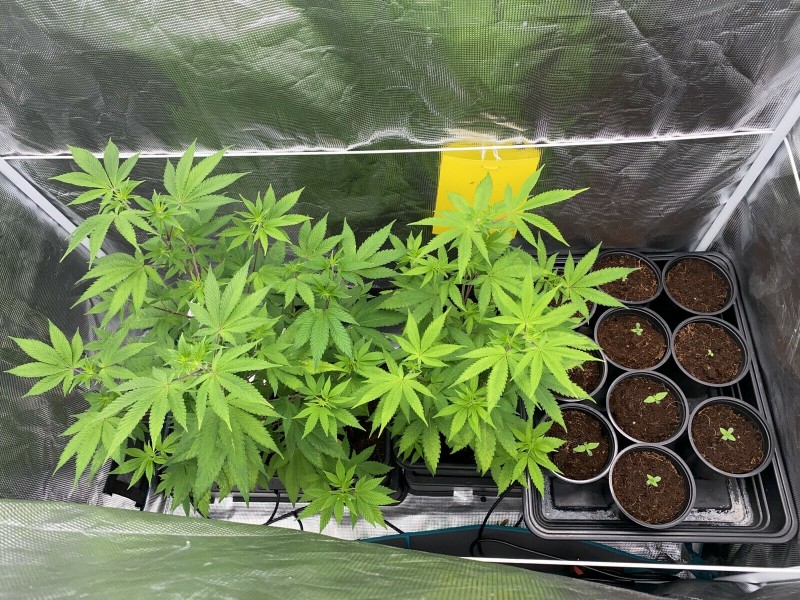 15536A0D-0234-4805-8160-F8808E2E1676