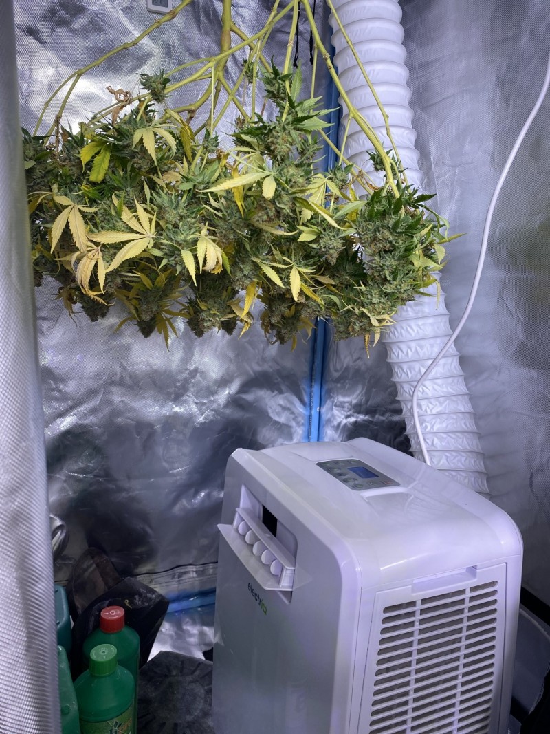 DCFBAE31-539E-4950-B68F-F1E0F11A53AE