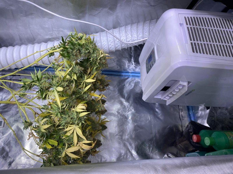 C821BE5D-C468-46BE-AA30-316EE728886F