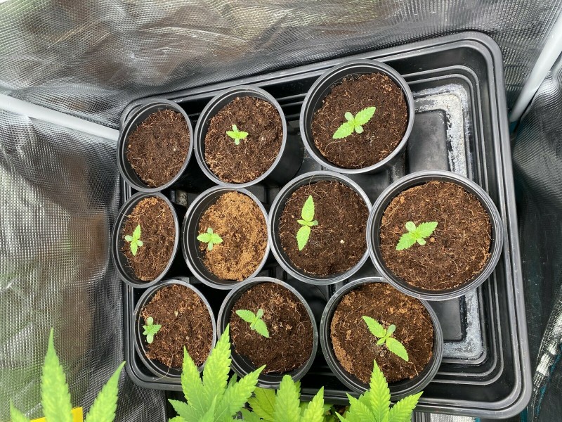 997974CD-9032-441F-8C9B-6050E515B87E