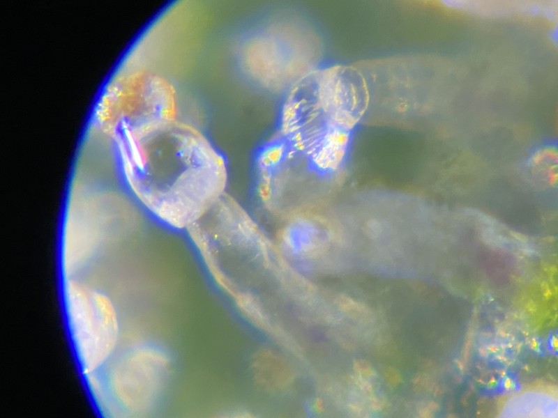 1B507616-9D4B-446F-B38A-9A559D4BD2DD