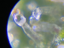 1B507616-9D4B-446F-B38A-9A559D4BD2DD