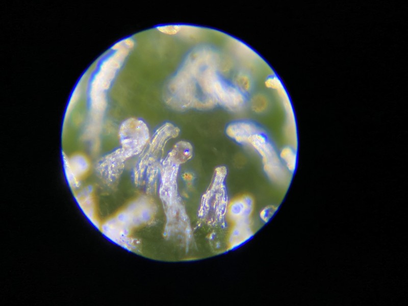 E9530DC9-695C-4327-9CF4-2D8E4846A0EB