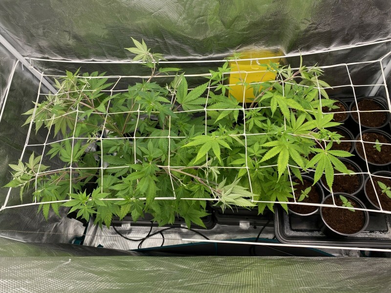 4600D327-C885-40CC-AB30-BECFF6FF6073