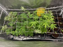 4600D327-C885-40CC-AB30-BECFF6FF6073