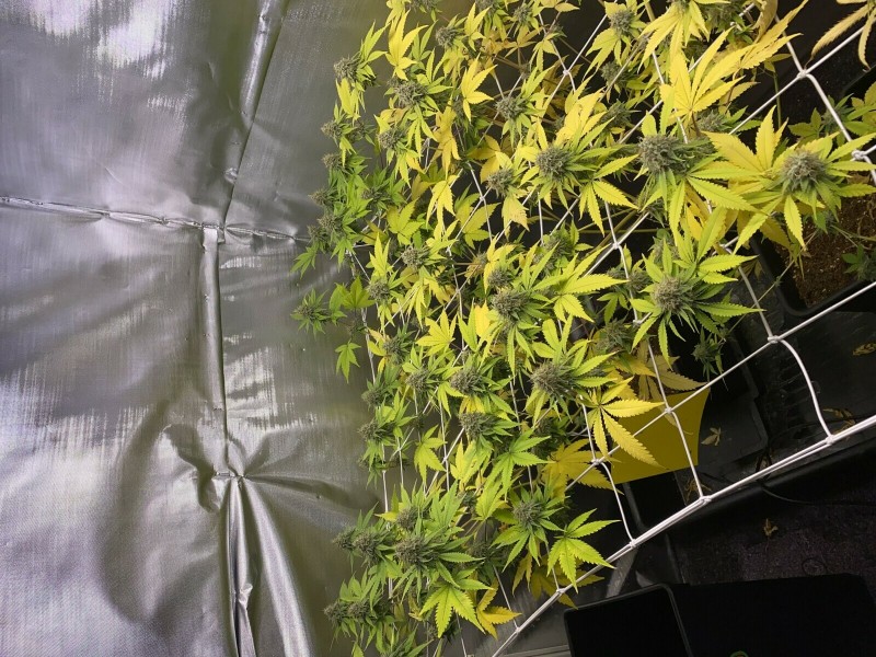 1458ED16-A86E-4FD9-B4B5-CF8E6AC37C78