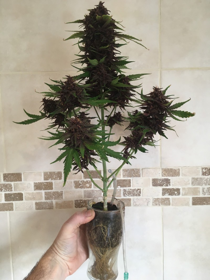 E50E13EB-E2F7-4DD6-89FD-73D907A56DC5