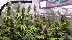 F7017437-A732-4361-9EE6-0D6B9421D066