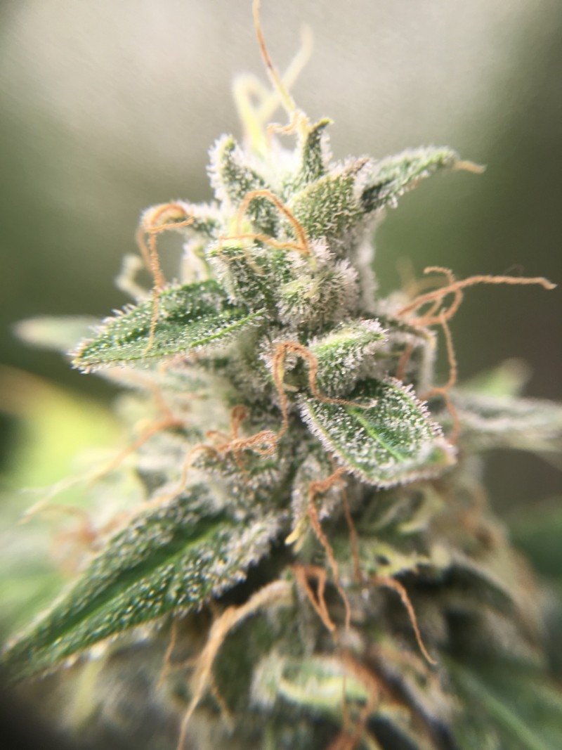 9C86567E-910C-44DE-BB34-66C8DEAD999A