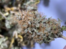 831E4640-C363-4B6F-91D0-2985C505B379