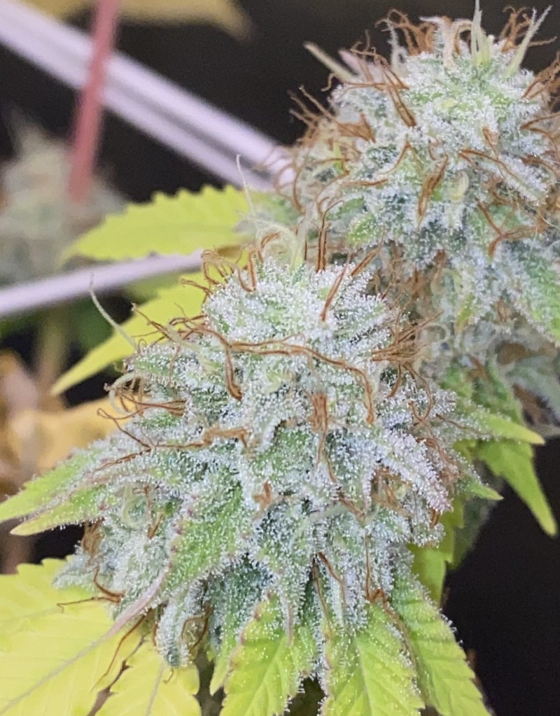 083E887E-894A-4C45-9737-3B2671ED523D