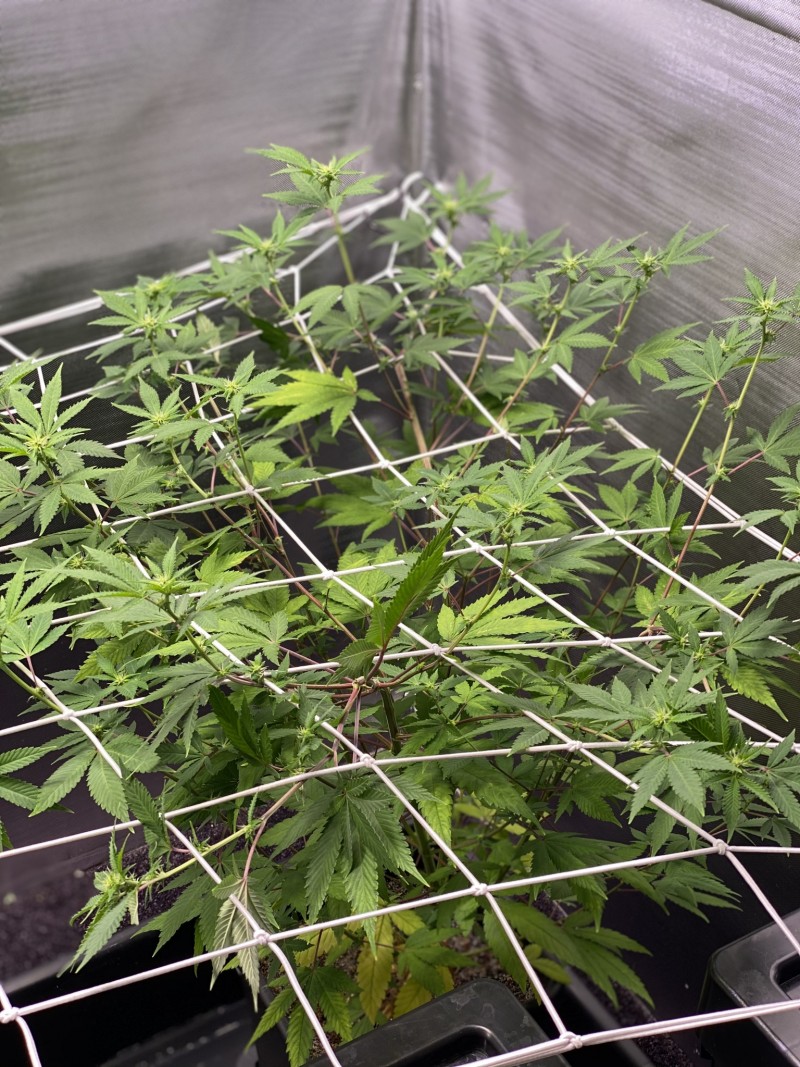 F5B85825-0286-48B7-A005-4639DC02631B