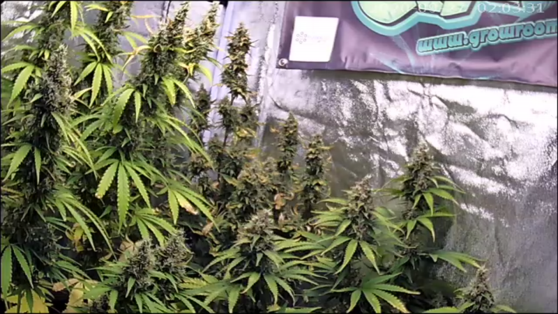 6EBBC780-5ABF-4AC5-AEE2-8328354152AD