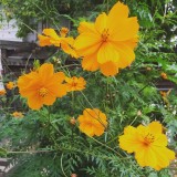 1BFF61C1-1674-4251-8656-5C87043DBC08