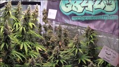 FA91E12F-B35F-4B96-9A26-8A3F59F35807