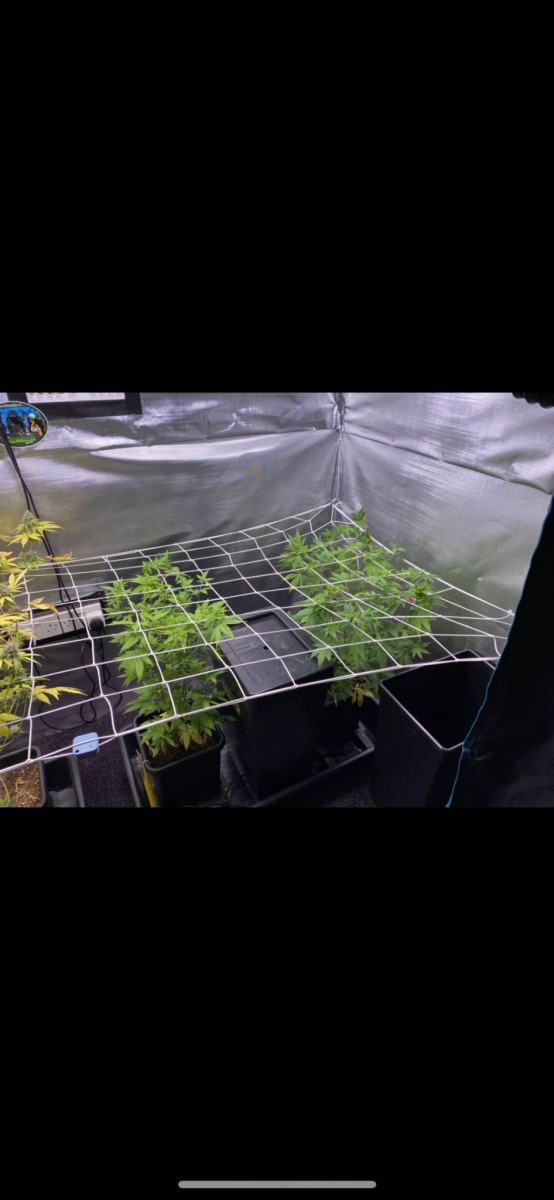 62FC189B-137F-4173-BD18-BF63AE3C5F5F