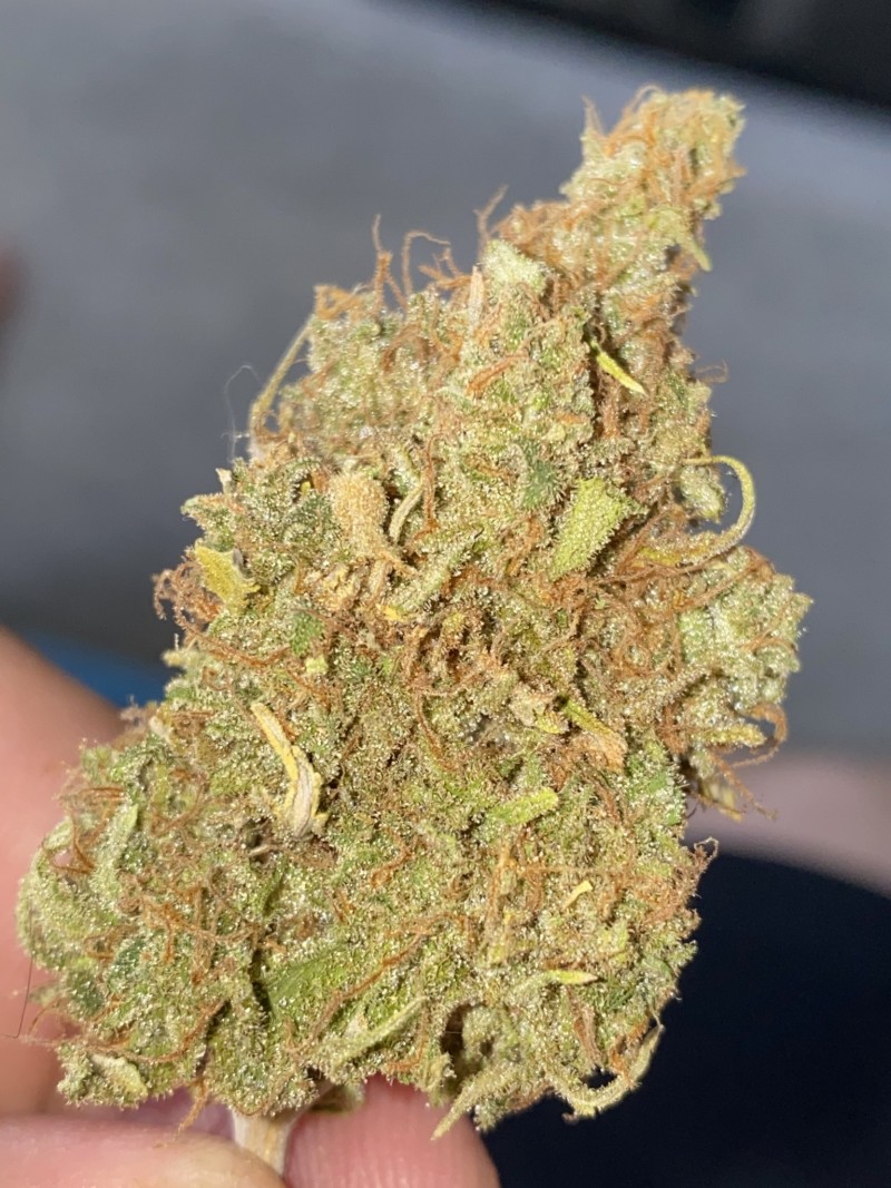 FCCC9CEC-A5F0-48AB-8CDE-9A5B08E30879