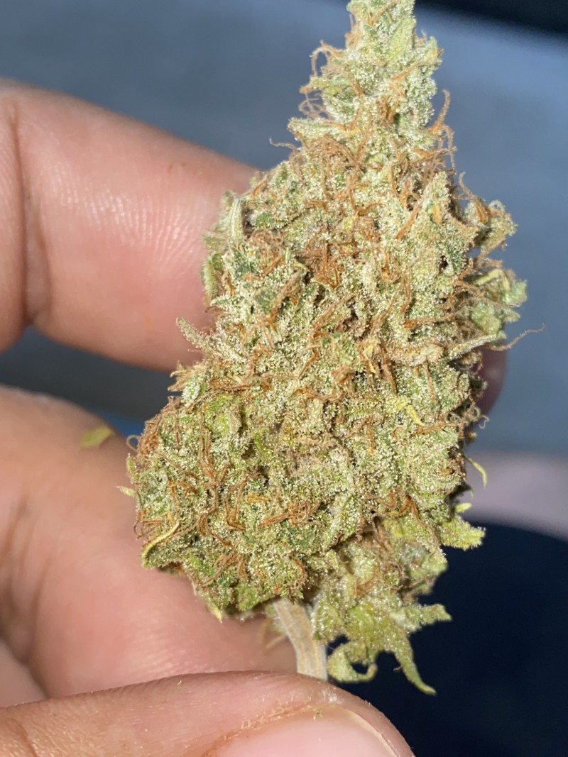 B2AB01AB-6CD7-42CF-B54B-09D16B355FA4