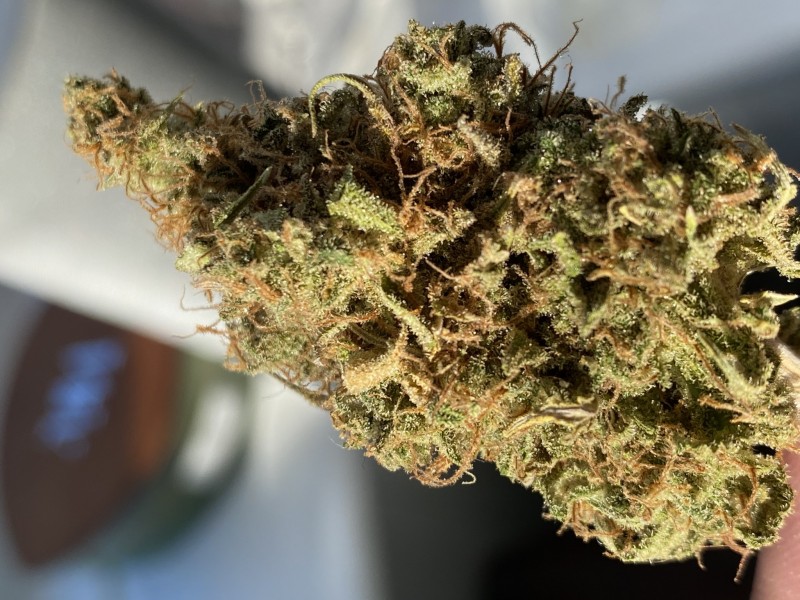 DC89BA8A-6164-41A0-9A9F-5F9C2C7A51F9