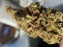 DC89BA8A-6164-41A0-9A9F-5F9C2C7A51F9