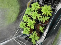 51FBE4E6-0B70-4F1D-8C96-8FA266D56508