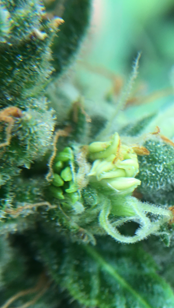 F72965D2-679C-4A50-9E45-AD31815AC709