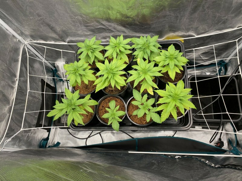 E362A235-12B1-4640-8FE0-53558E60CB03