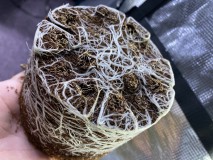 9B947088-0640-4971-904B-193C545E2037