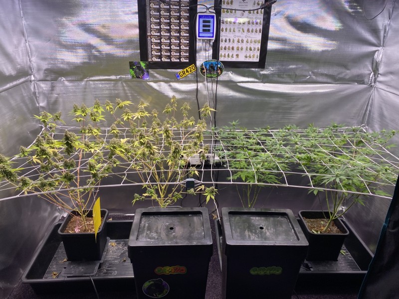 3C6D3545-509E-47C1-BE51-E9167D5B1783