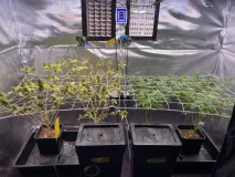 3C6D3545-509E-47C1-BE51-E9167D5B1783