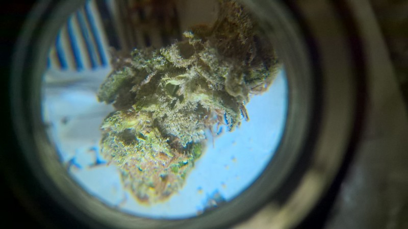 WP_20200928_14_47_12_Pro