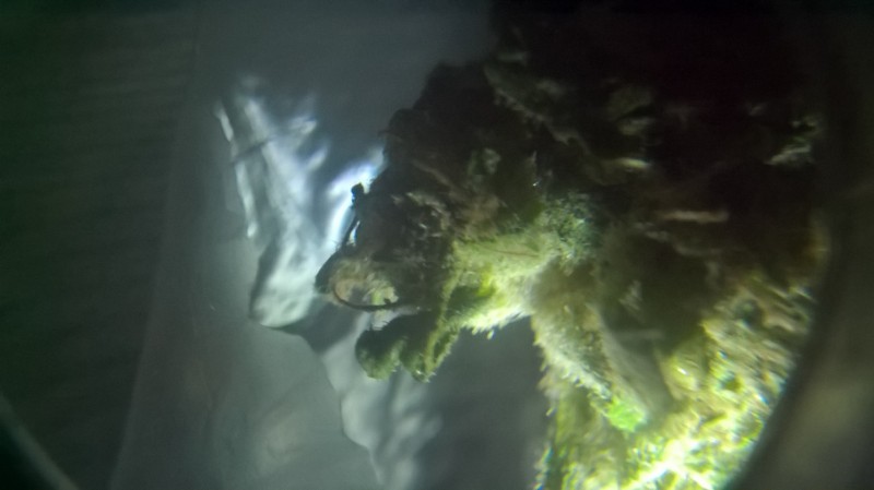 WP_20200930_04_31_20_Pro