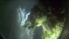 WP_20200930_04_31_20_Pro