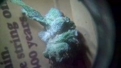 WP_20200930_03_00_03_Pro