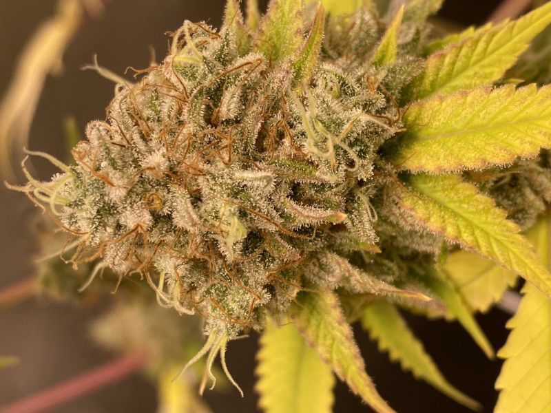 C7DD1FB0-5FA4-468D-8E80-4E0842116322