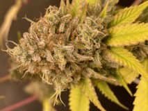 C7DD1FB0-5FA4-468D-8E80-4E0842116322